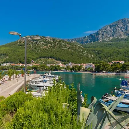 Vikk In Makarska By Guide